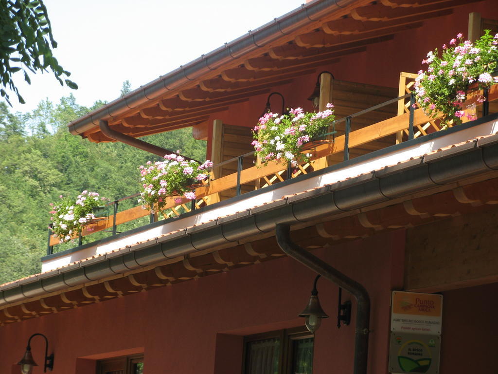 Villa Bosco Romagno Cividale del Friuli Habitación foto